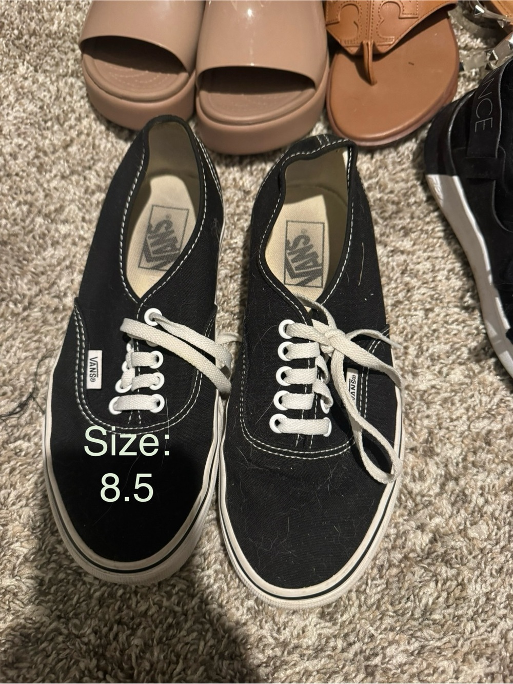 Vans Black Canvas Low-Top Sneakers with White Laces